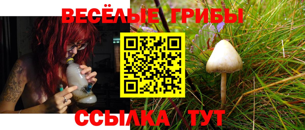 Псилоцибиновые грибы GOLDEN TEACHER Родники